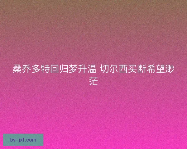 桑乔多特回归梦升温 切尔西买断希望渺茫