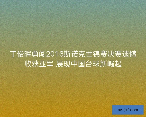 丁俊晖勇闯2016斯诺克世锦赛决赛遗憾收获亚军 展现中国台球新崛起